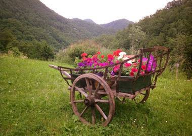Природа, счастье, тишина: как устроена туристическая эко-ферма в Словении