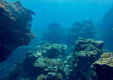 Обойти все рифы и мели: как оптимизировать расходы на старте бизнеса