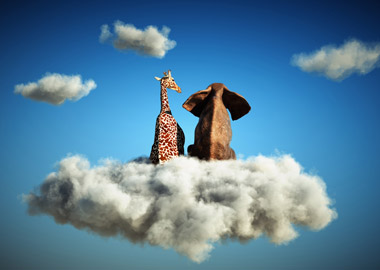 Человеческий фактор: как предотвращать конфликты и кризисы в команде