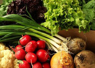 Растущий бизнес: как заработать на доставке свежей зелени, овощей и фруктов
