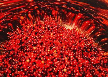 Попробовать Сибирь на вкус: как запустить производство пюре из ягод-дикоросов