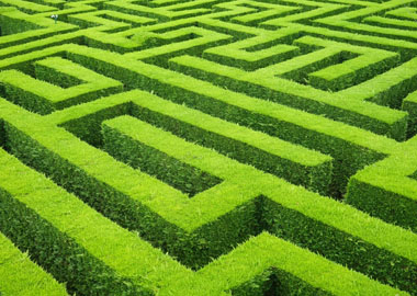 Чем проще, тем лучше: какие уроки вынес IT-стартап, проходя непростой путь масштабирования