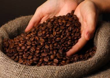 «2 кофейных маньяка»: как любовь к кофе конвертировать в бизнес-проект 
