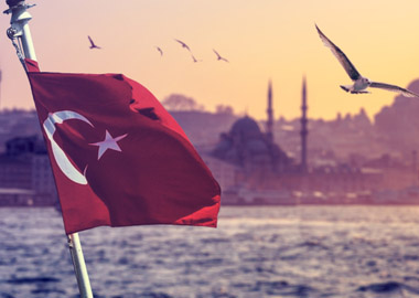 Нужен нам берег турецкий: как российским компаниям найти партнёров в Турции
