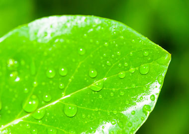 Как предпринимателю, который постоянно взаимодействует с людьми и их проблемами, сохранить ресурс