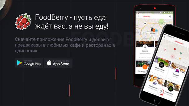 FoodBerry