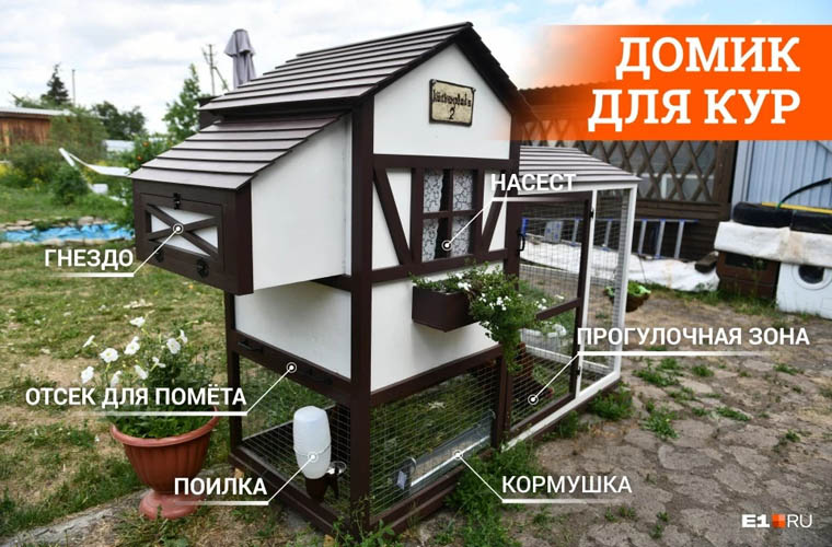 Кур-ля-ля