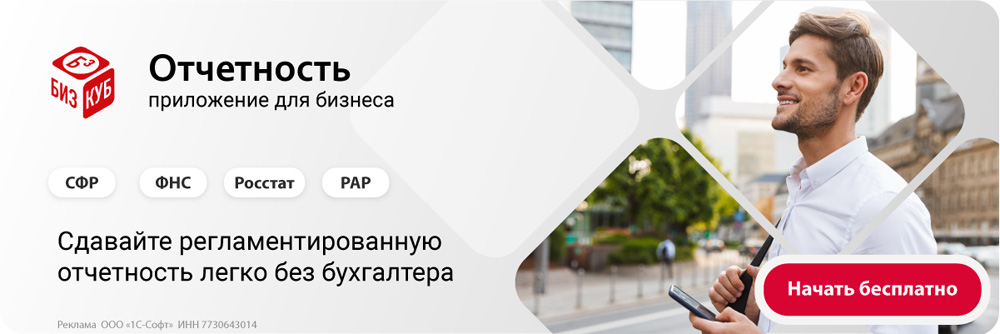 БизКуб Отчетност