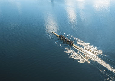 Как компания внедряет бирюзовые принципы управления Как компания внедряет бирюзовые принципы управления