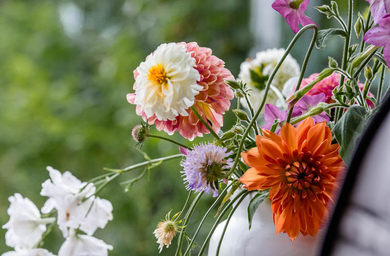 Цветочная ферма Flores Del Mar