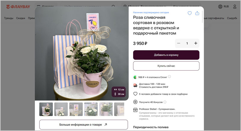 Студия растений Professor Stebel - страница на Флаувау
