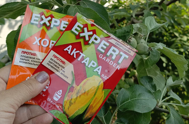 Продукция компании Expert Garden