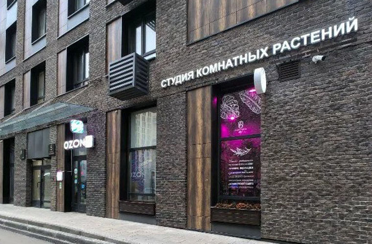Студия растений Professor Stebel