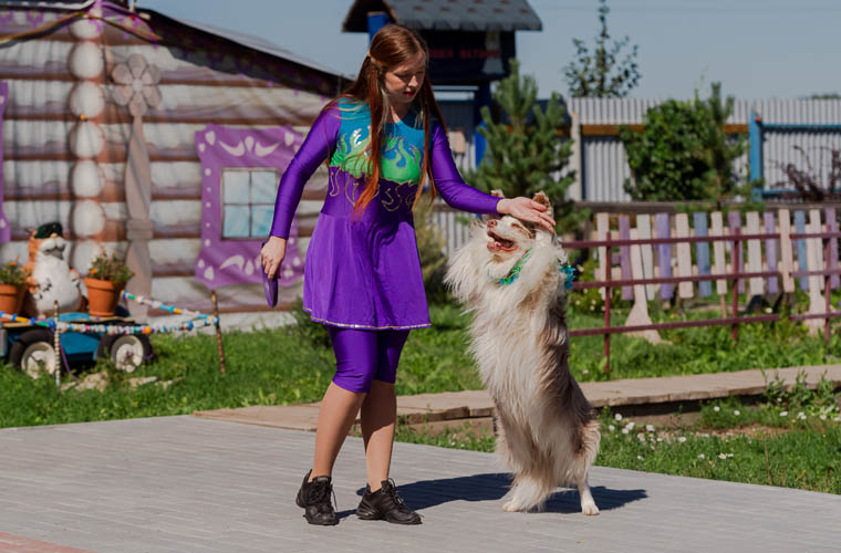 Цирк Арлекино Цирк Арлекино