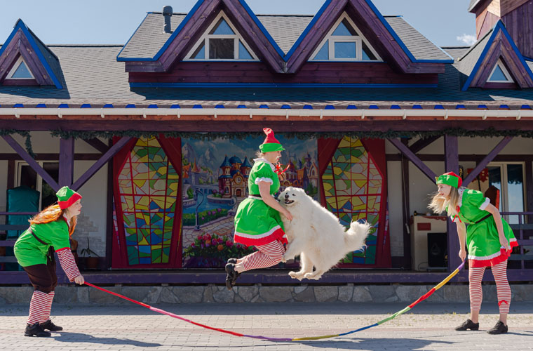 Цирк Арлекино Цирк Арлекино