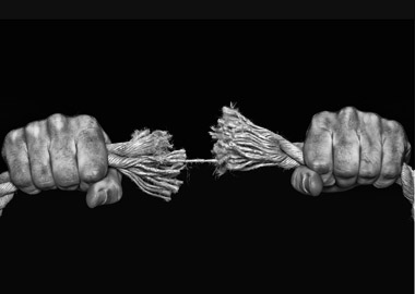 Hands