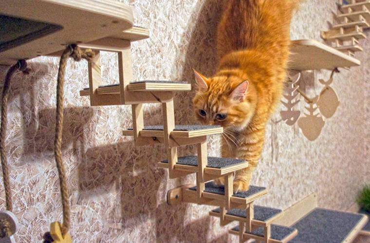 Полки для кошек на стену своими руками (74 фото)