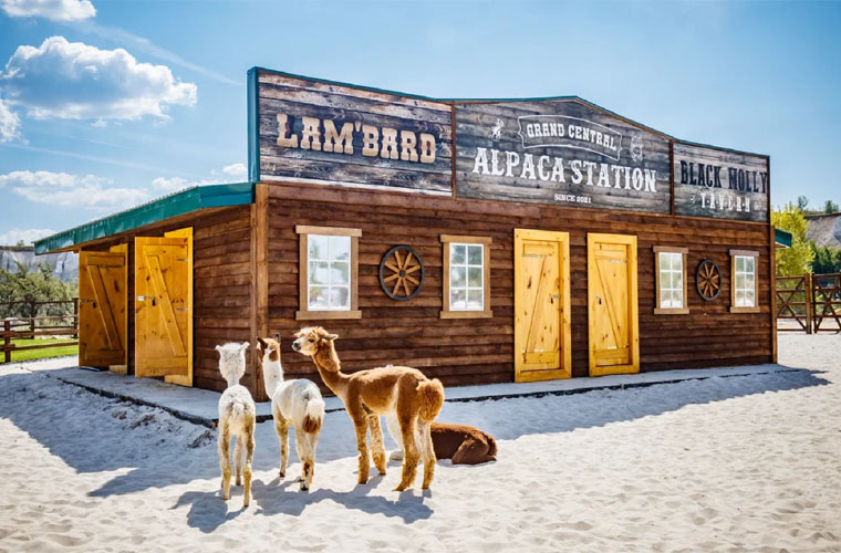 Кемпинг Белый колодец