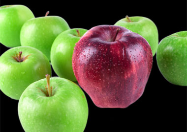 Тренды рынка франчайзинга Тренды рынка франчайзинга