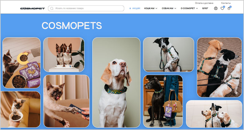 Как интернет-магазину увеличить долю спонтанных покупок