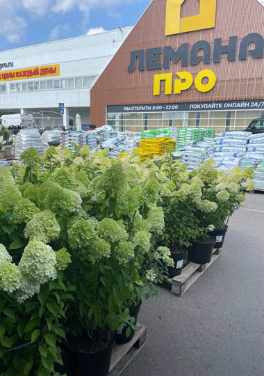 Фабрика растений