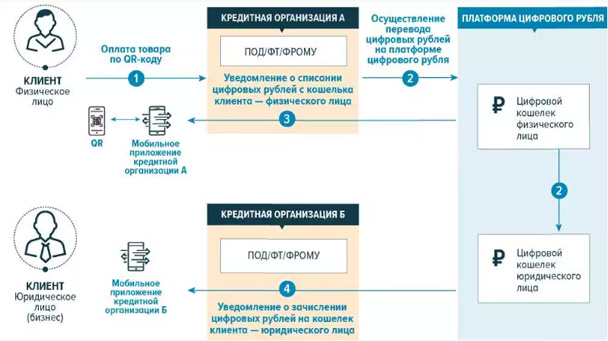 Схема покупки товаров за цифровые рубли