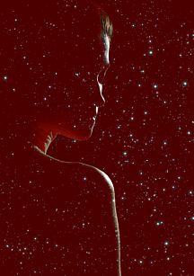 Lady in business: семь вдохновляющих историй о женщинах-предпринимателях