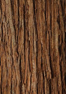 Постучать по дереву: как уральская компания производит детские площадки для всей России