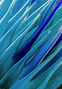 Бизнес на расплавленном стекле: как семья создала и развивает стеклодувную мастерскую