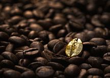 Всё упирается в личность: как персональный бренд директора влияет на репутацию бизнеса