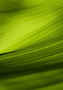 The Best: 12 лучших статей о малом бизнесе на Biz360.ru в марте 2026 года